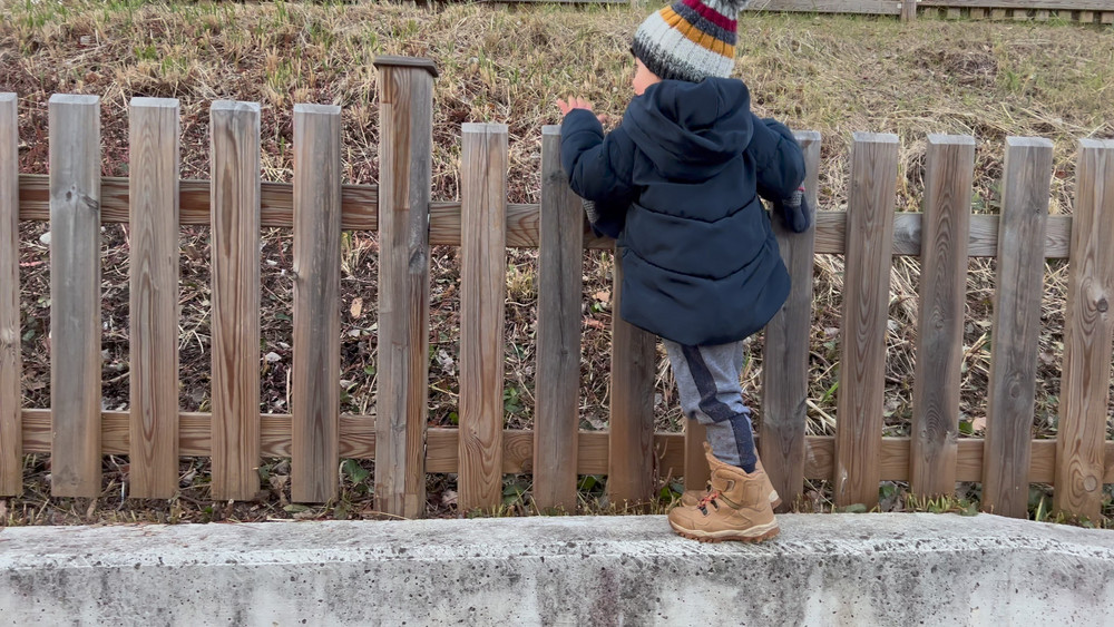 fence companies